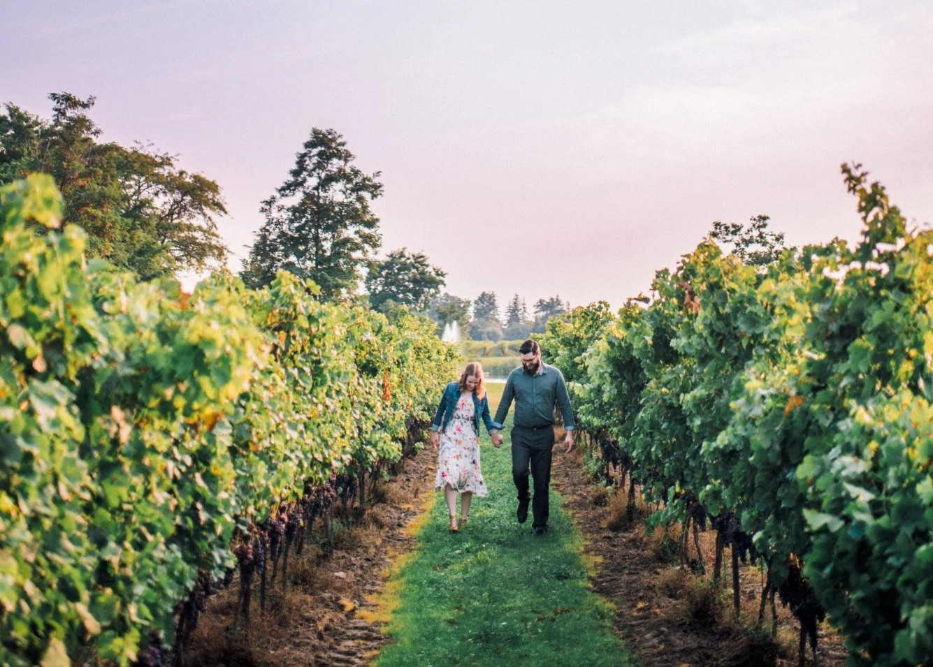 Niagara Wine Tours